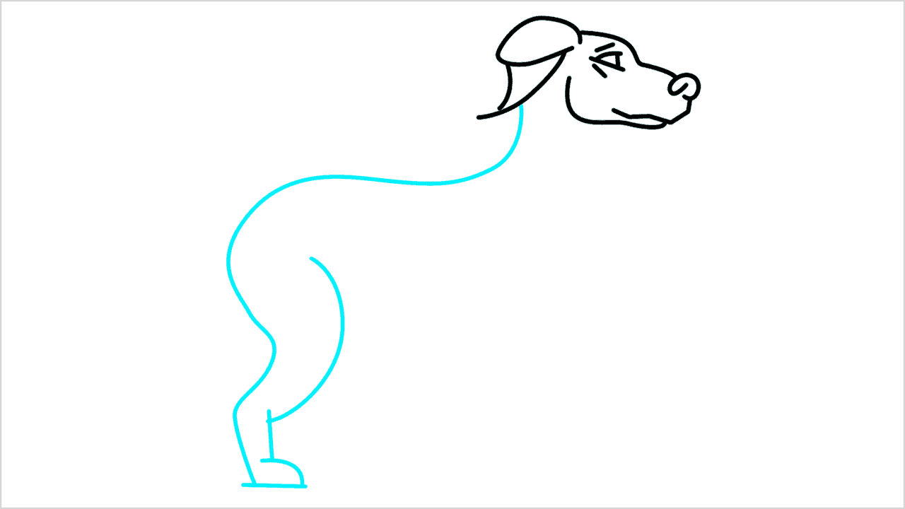 Cómo dibujar un perro doberman paso a paso (6)