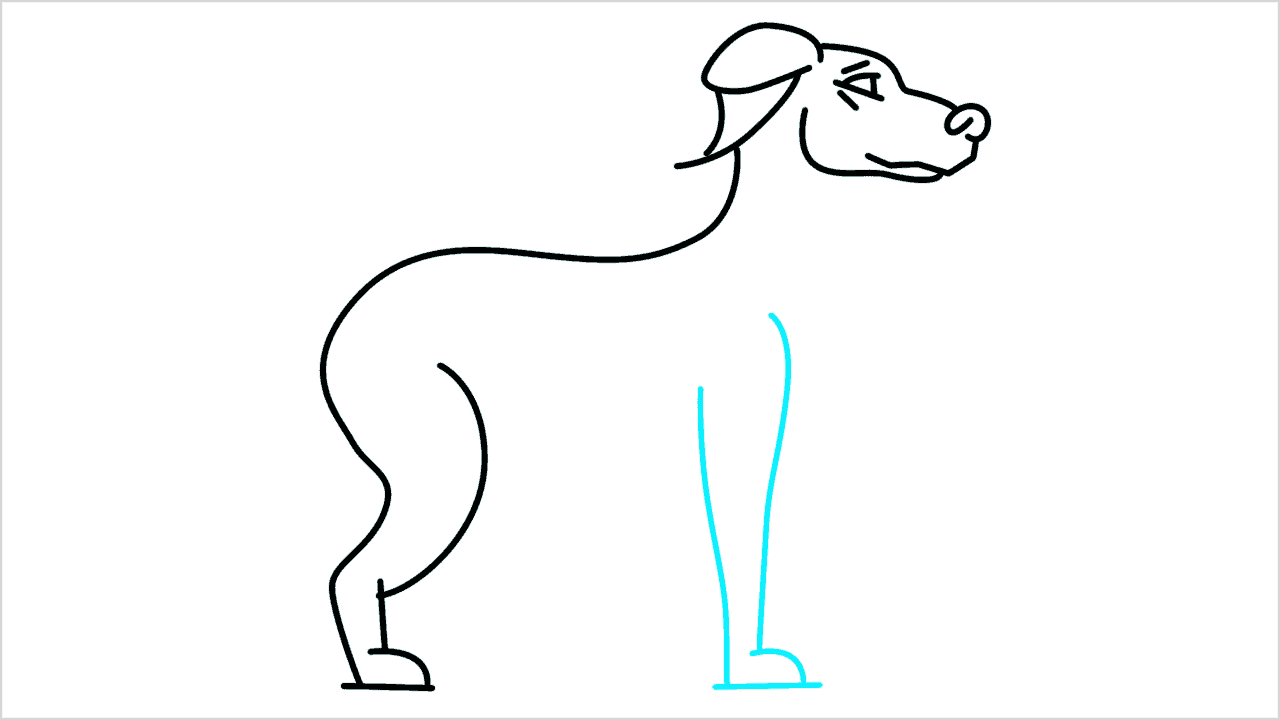 Cómo dibujar un perro doberman paso a paso (7)