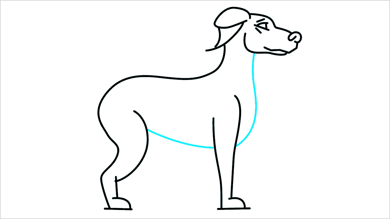 Cómo dibujar un perro doberman paso a paso (8)
