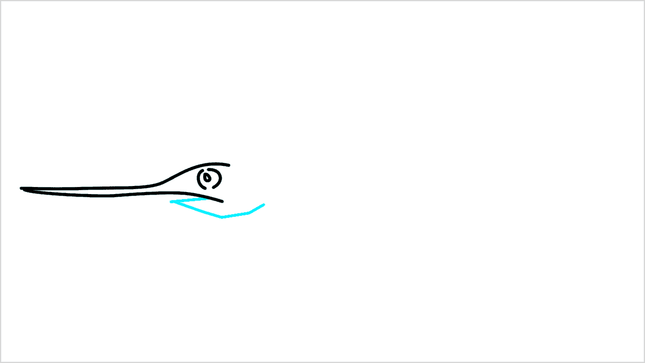Cómo dibujar un pez espada paso a paso (3)