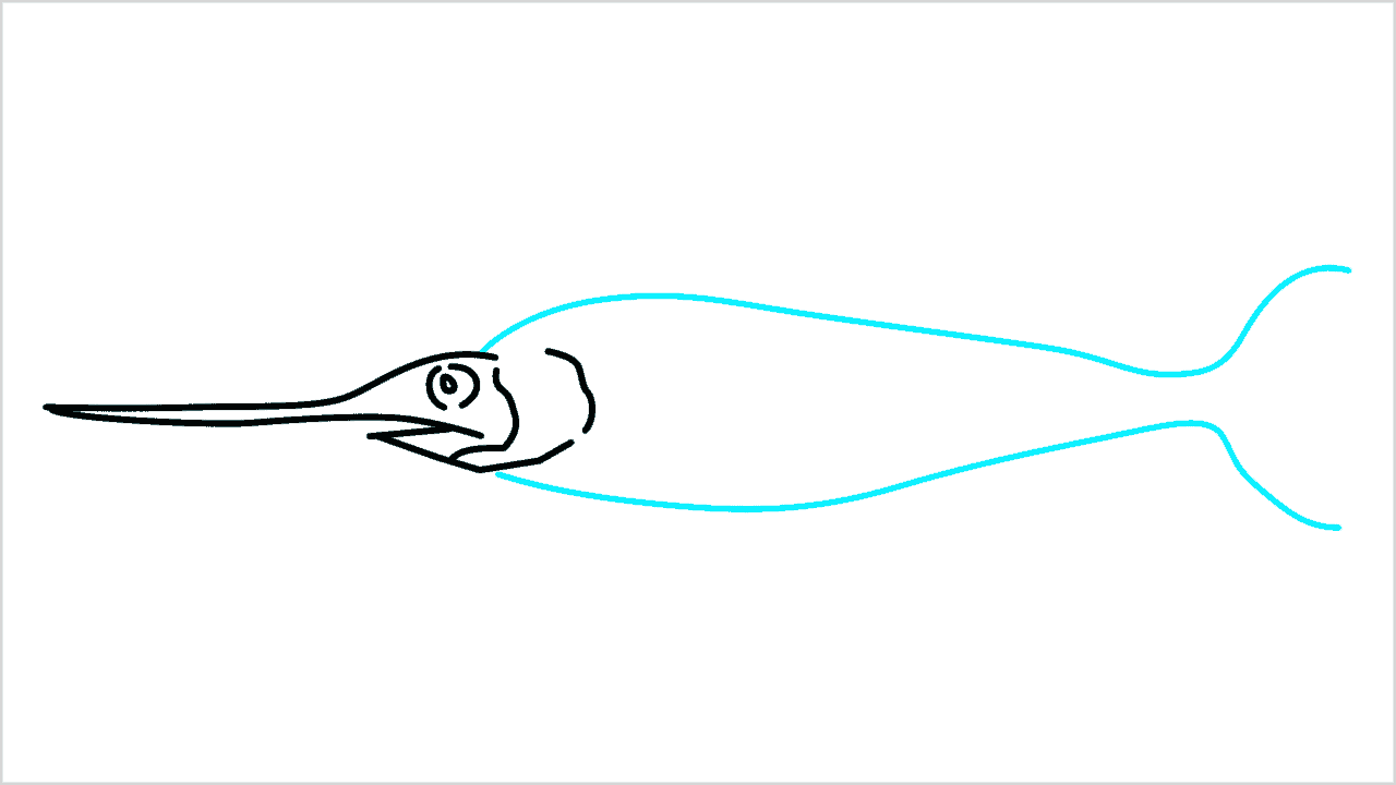 Cómo dibujar un pez espada paso a paso (5)