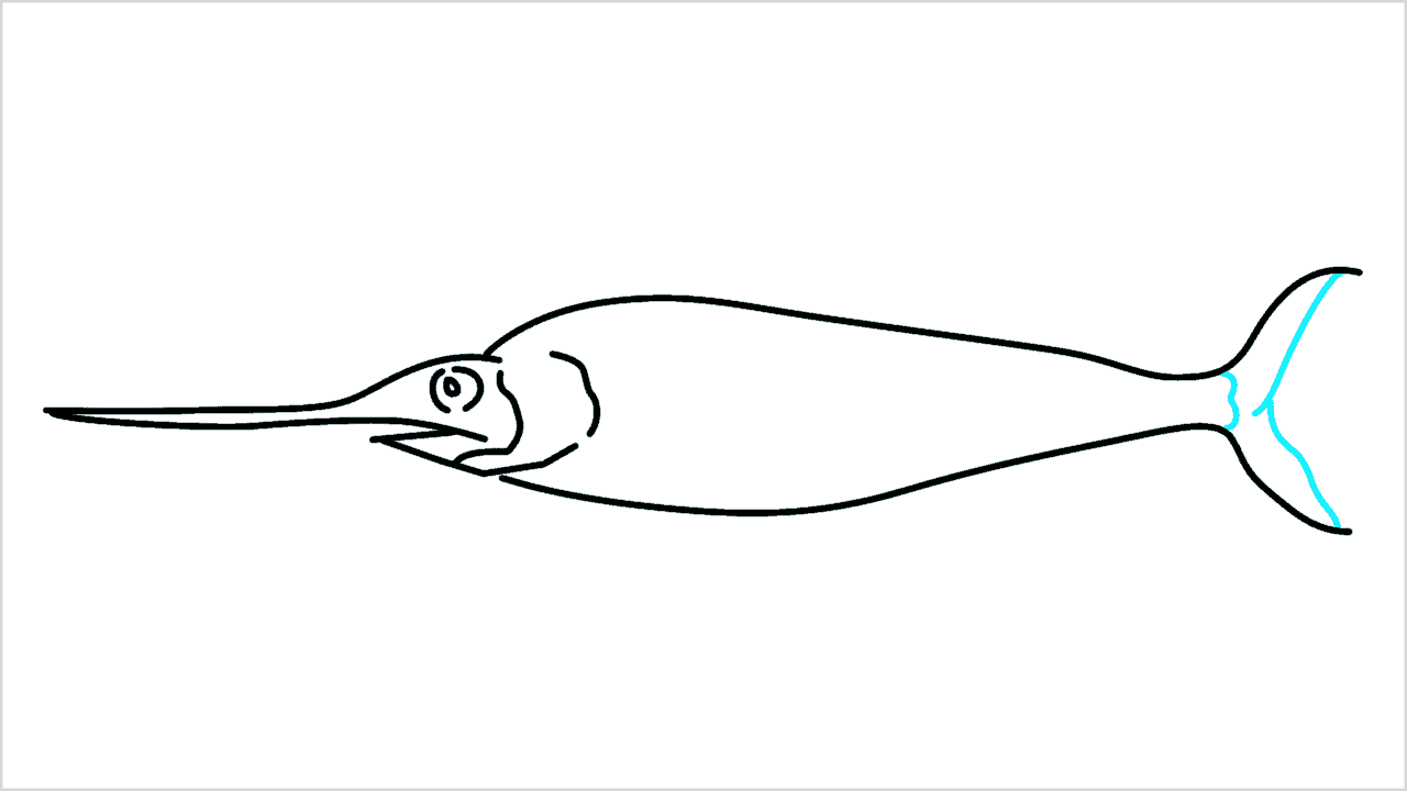 Cómo dibujar un pez espada paso a paso (6)