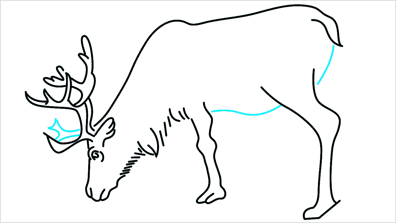 Cómo dibujar un reno paso a paso (10)