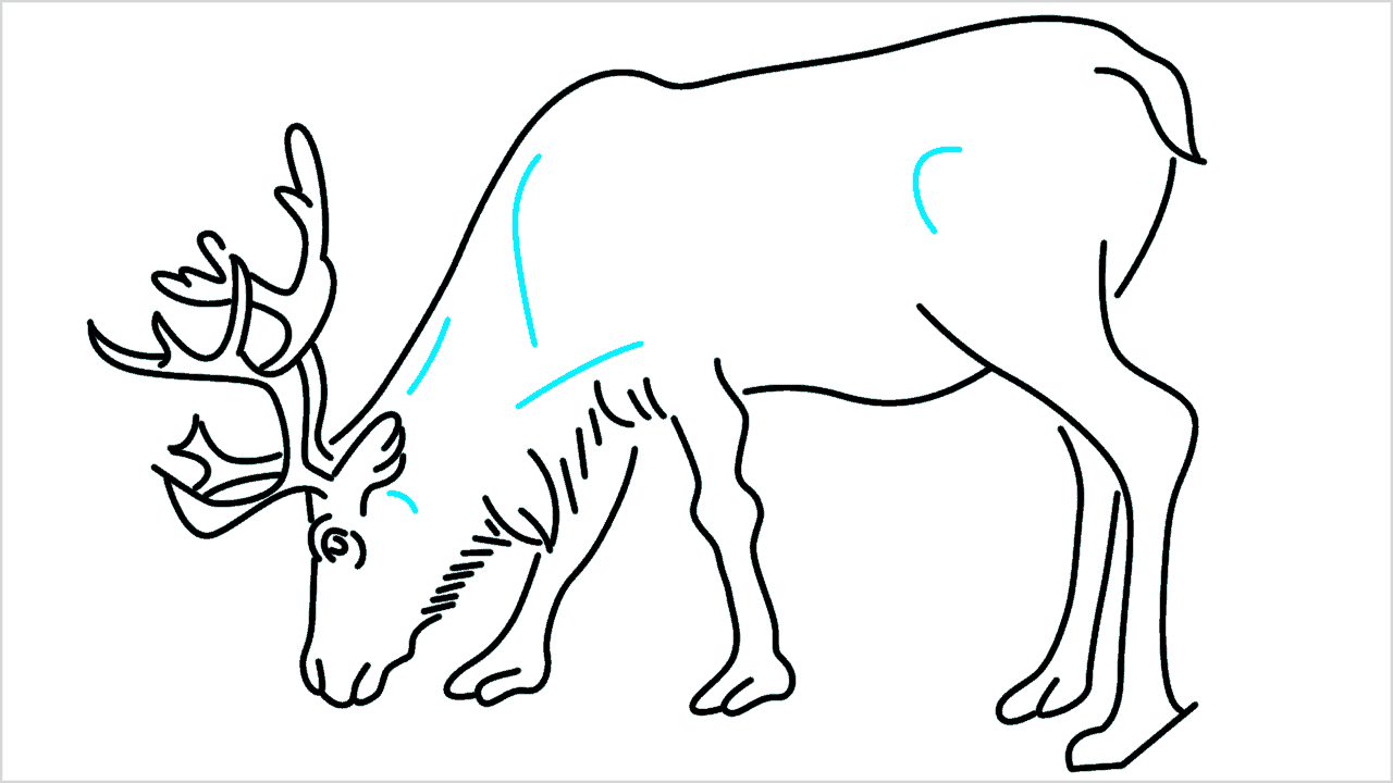 Cómo dibujar un reno paso a paso (12)