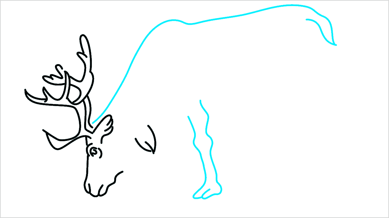 Cómo dibujar un reno paso a paso (7)