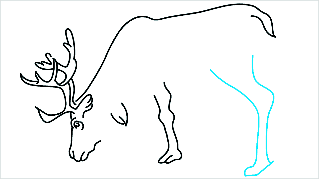 Cómo dibujar un reno paso a paso (8)