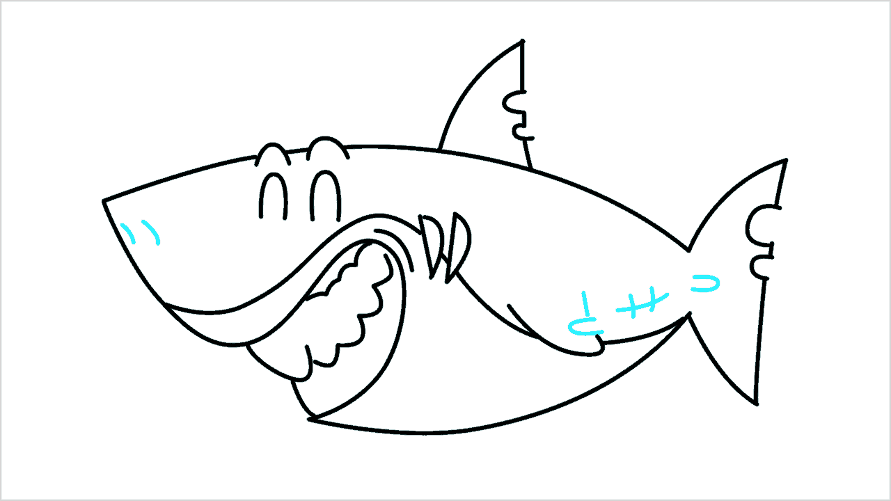Cómo dibujar un tiburón paso a paso (8)