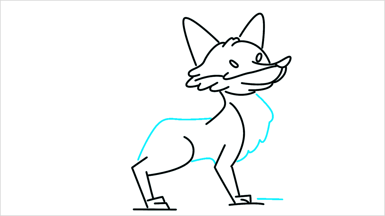 Cómo dibujar un zorro caminando paso a paso (10)