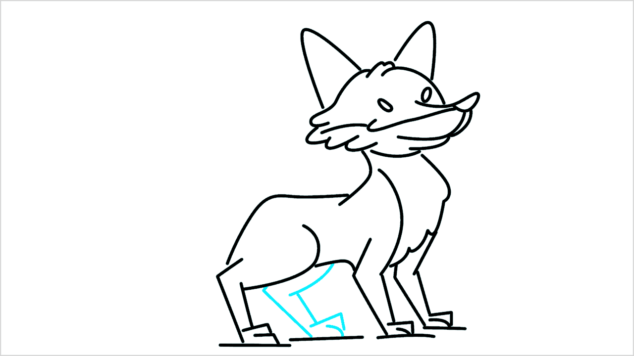 Cómo dibujar un zorro caminando paso a paso (12)