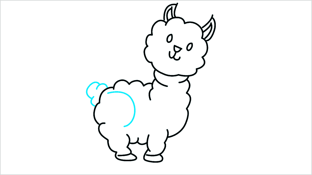 Cómo dibujar una alpaca paso a paso (7)