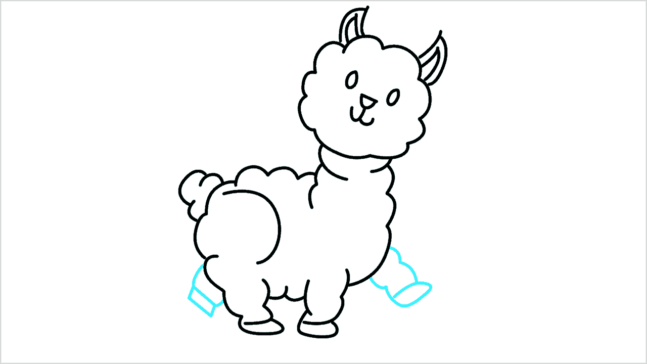 Cómo dibujar una alpaca paso a paso (8)