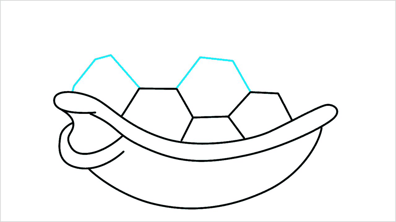 Cómo dibujar una caparazón de tortuga paso a paso (6)