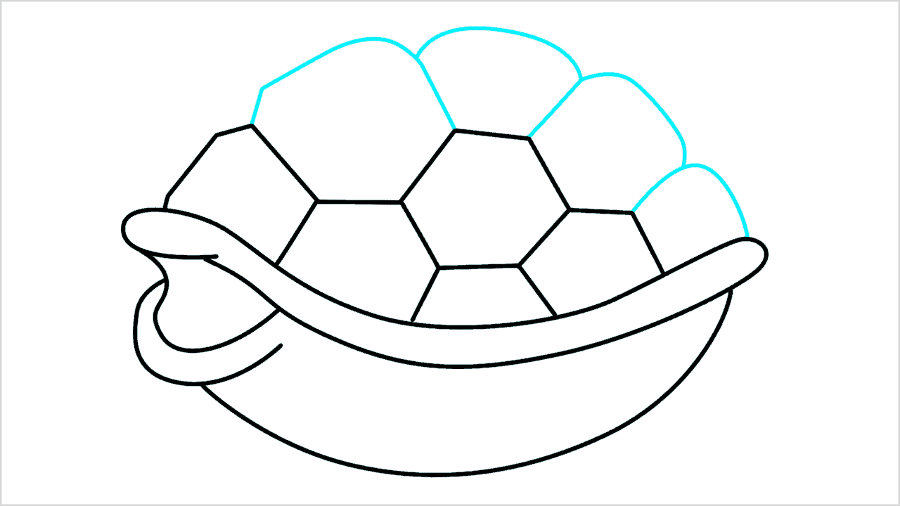 Cómo dibujar una caparazón de tortuga paso a paso (7)