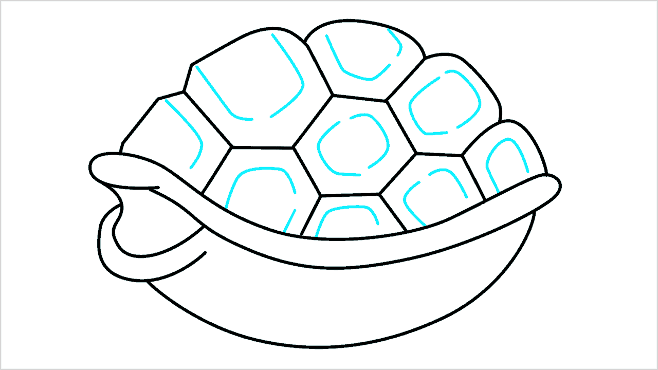 Cómo dibujar una caparazón de tortuga paso a paso (8)