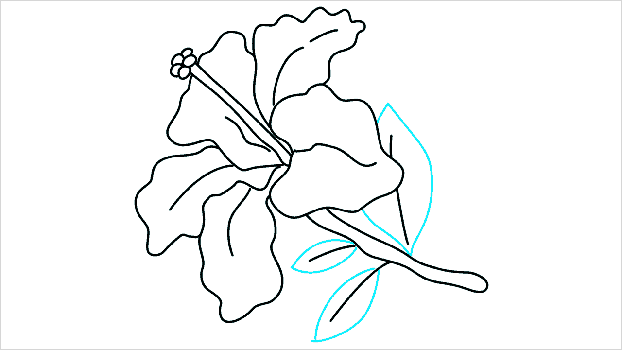 Cómo dibujar una flor de hibiscus paso a paso (8)