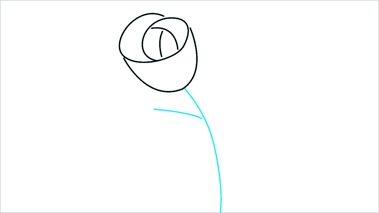 Cómo dibujar una flor fácilmente (4)