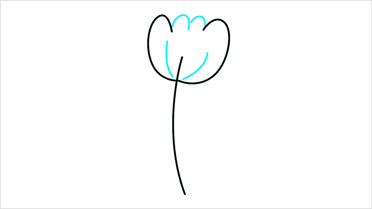 Cómo dibujar una flor simple paso a paso (3)