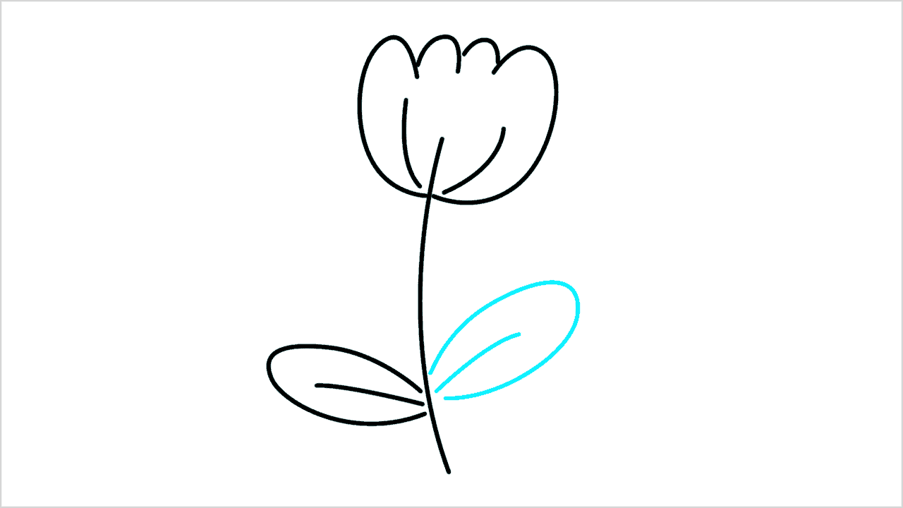 Cómo dibujar una flor simple paso a paso (5)
