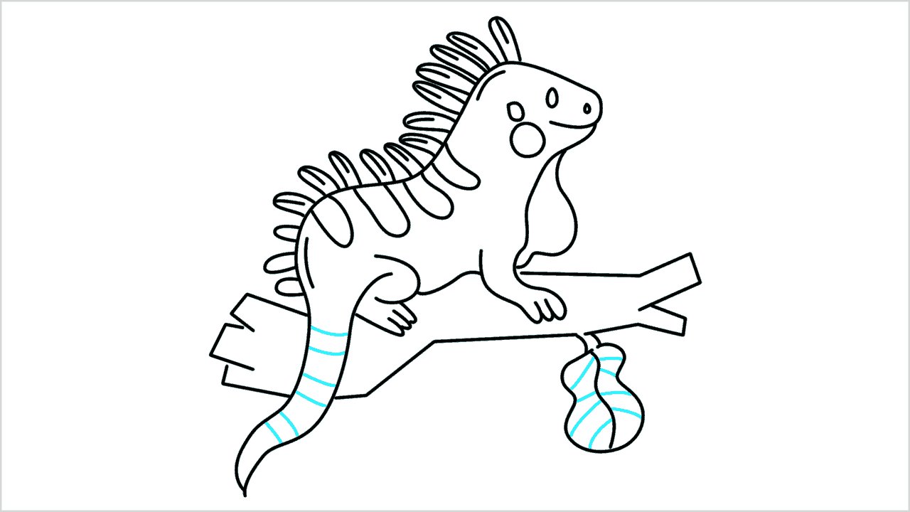Cómo dibujar una iguana paso a paso (13)