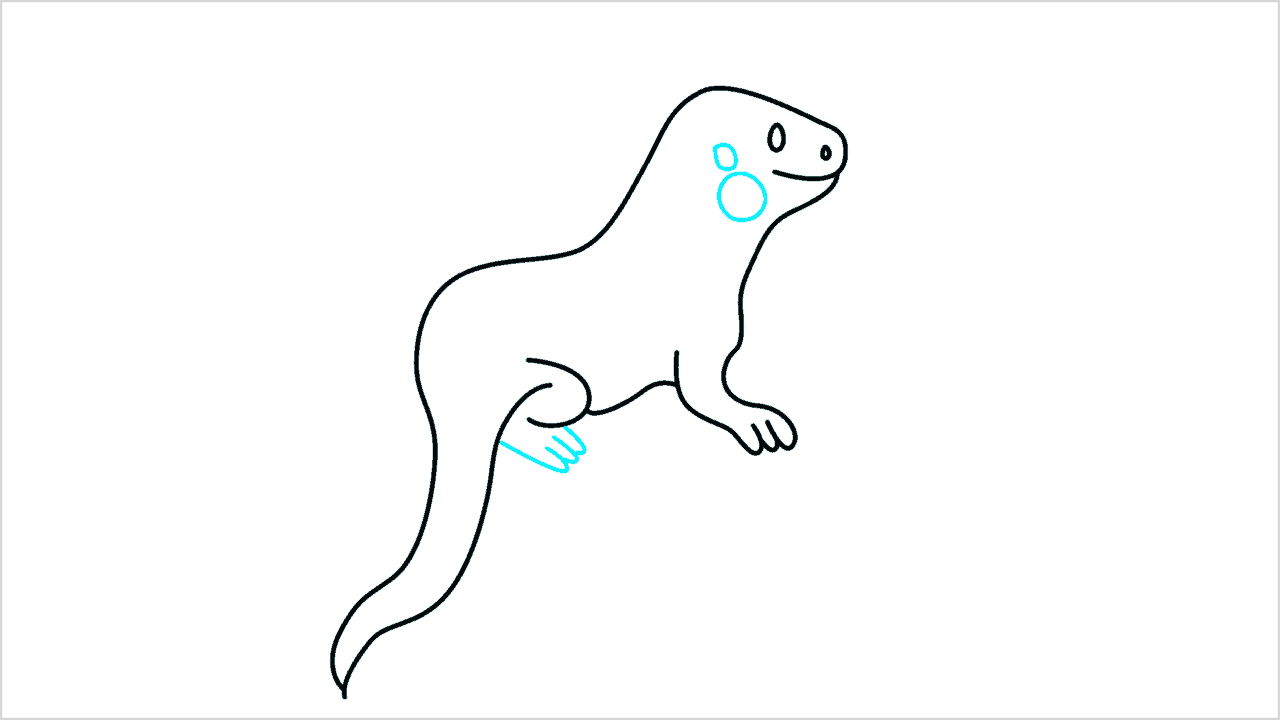 Cómo dibujar una iguana paso a paso (6)