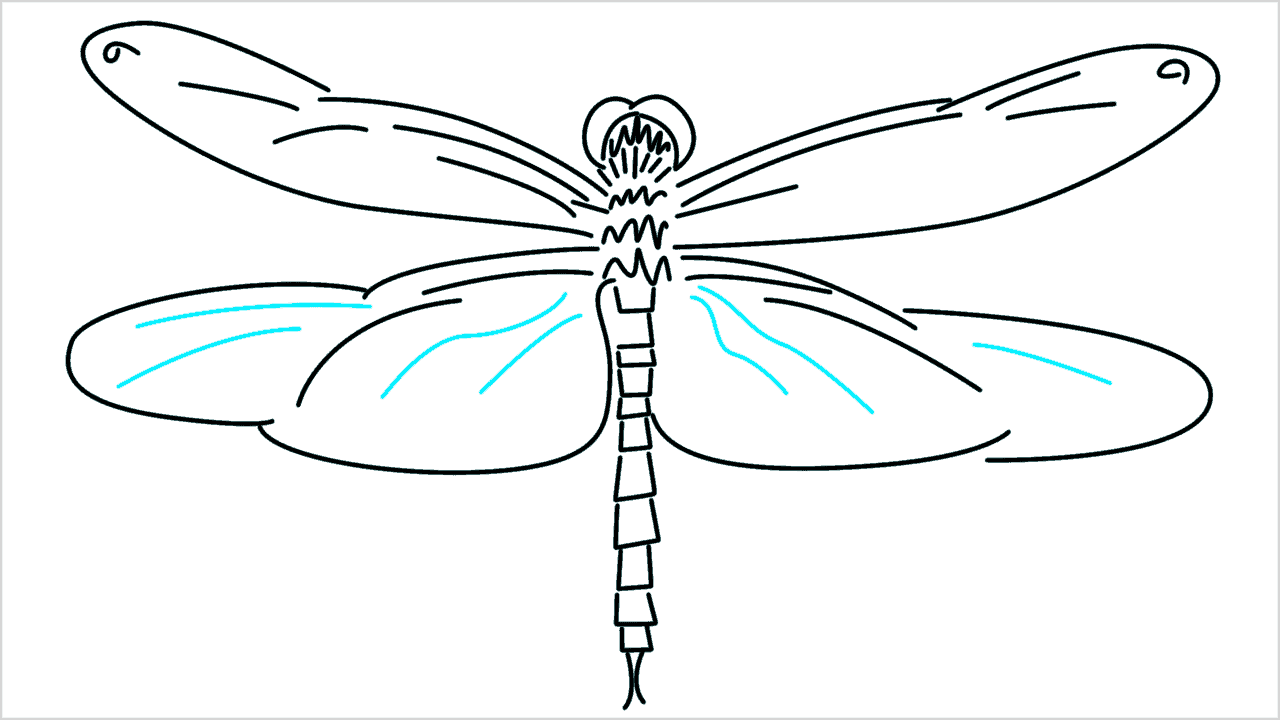 Cómo dibujar una libélula paso a paso (10)