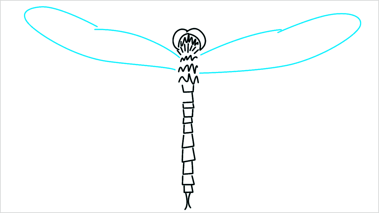 Cómo dibujar una libélula paso a paso (6)