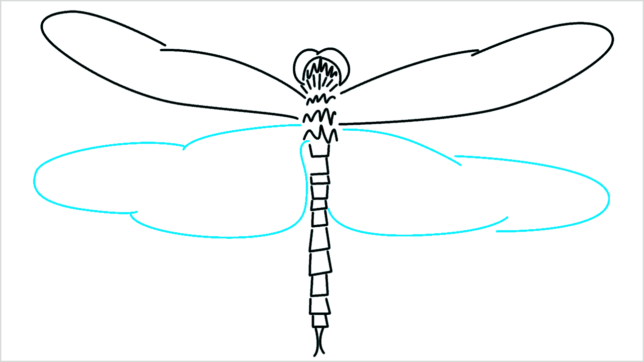 Cómo dibujar una libélula paso a paso (7)