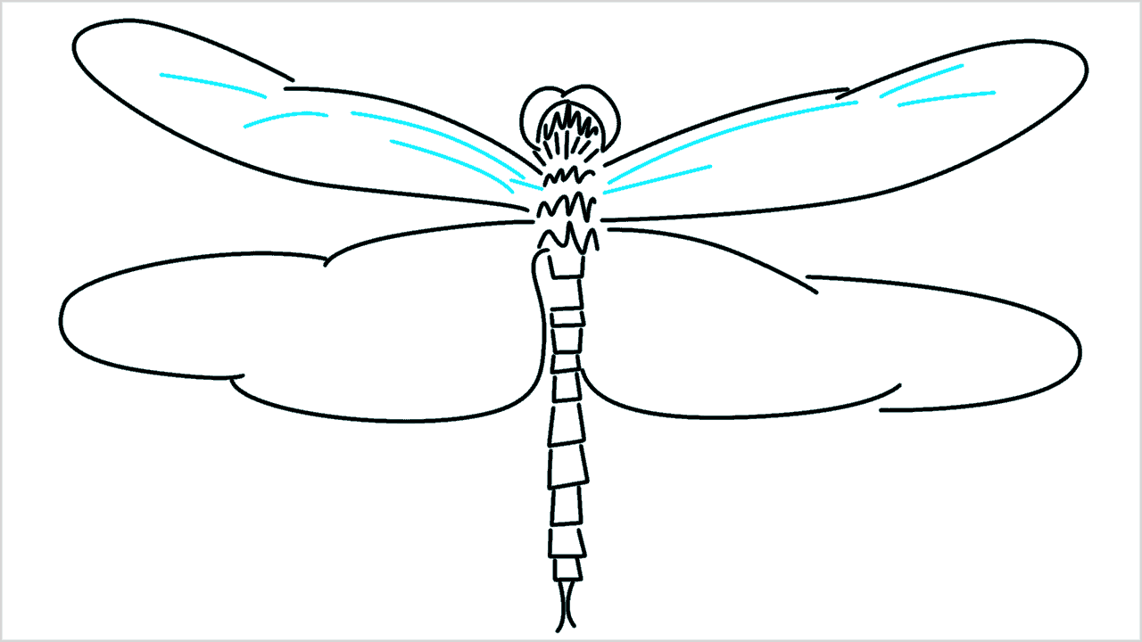 Cómo dibujar una libélula paso a paso (8)