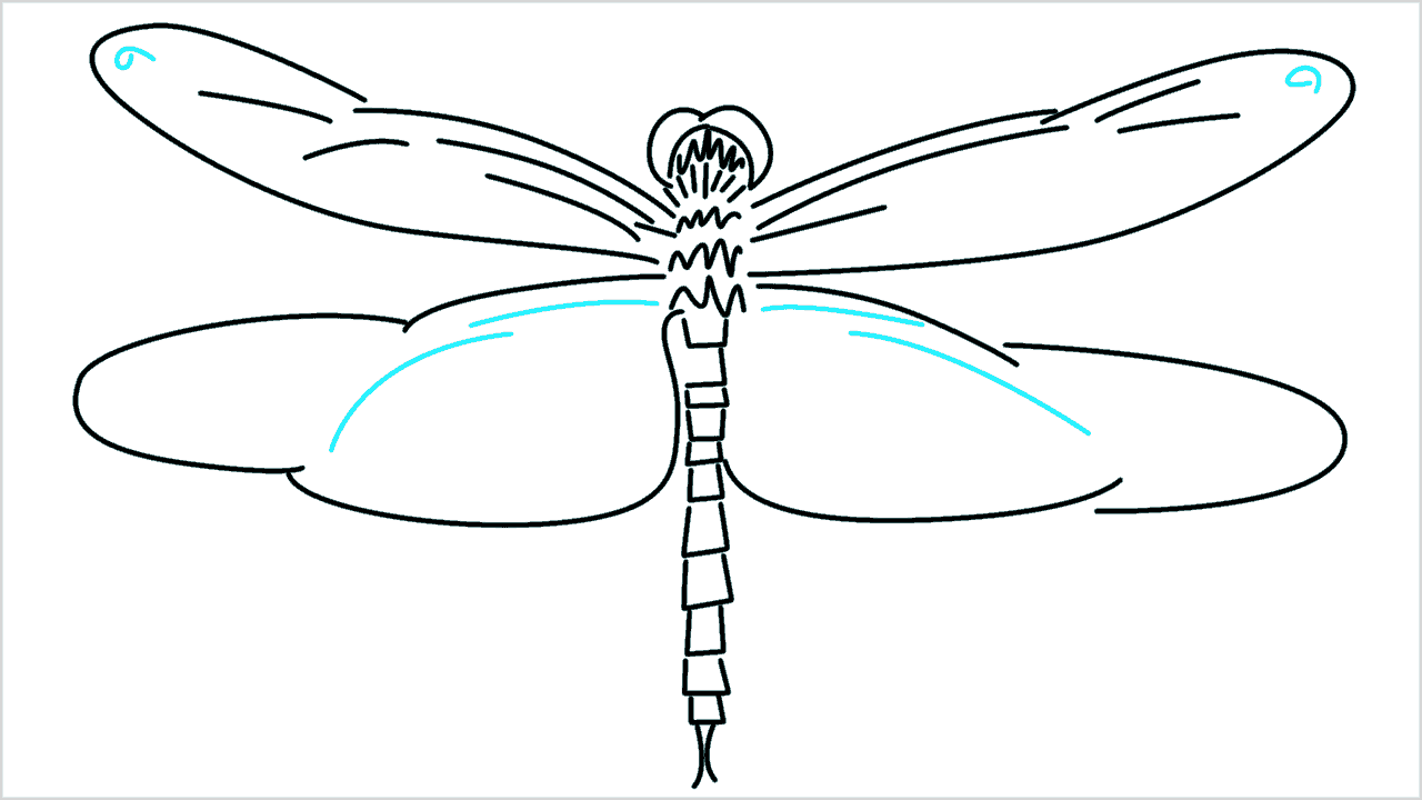 Cómo dibujar una libélula paso a paso (9)