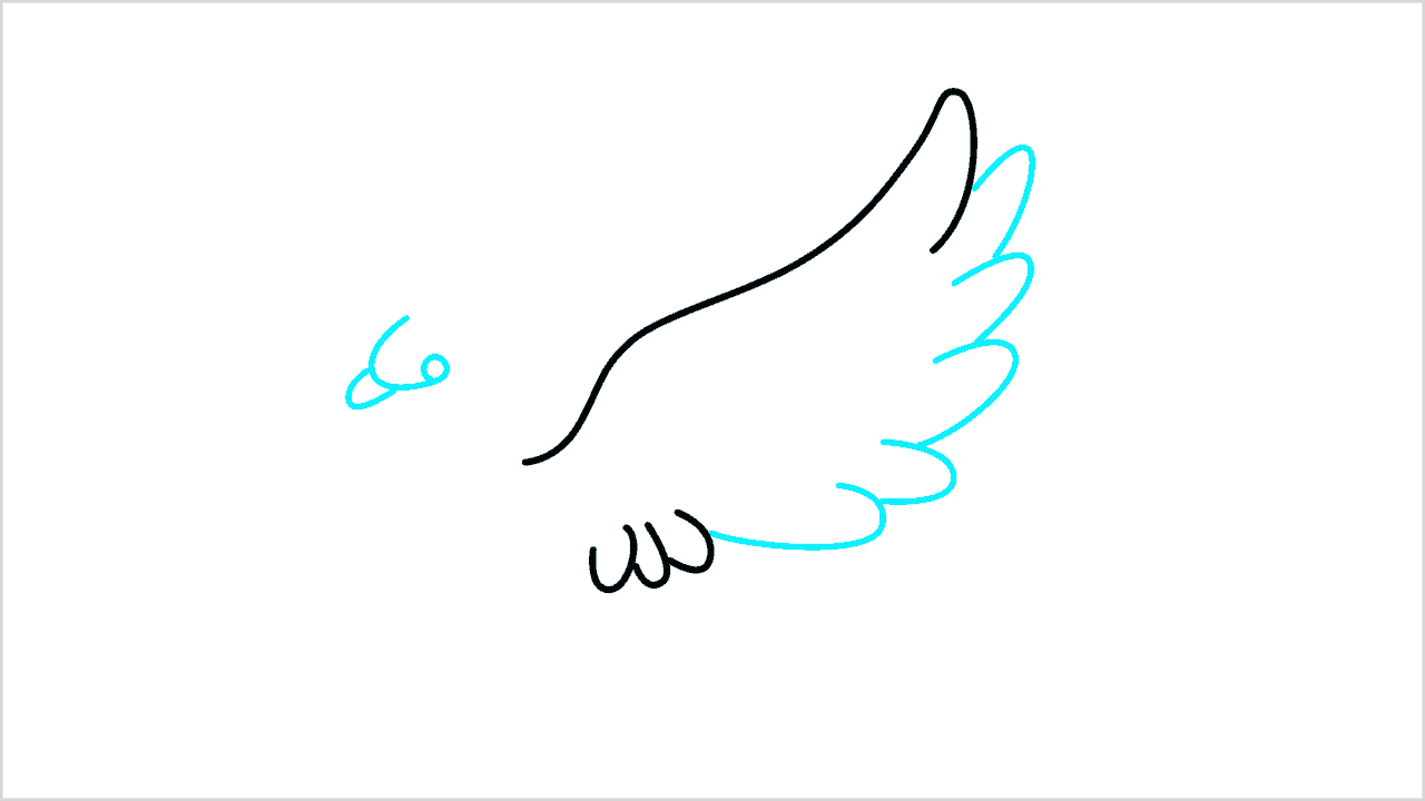 Cómo dibujar una paloma paso a paso (3)