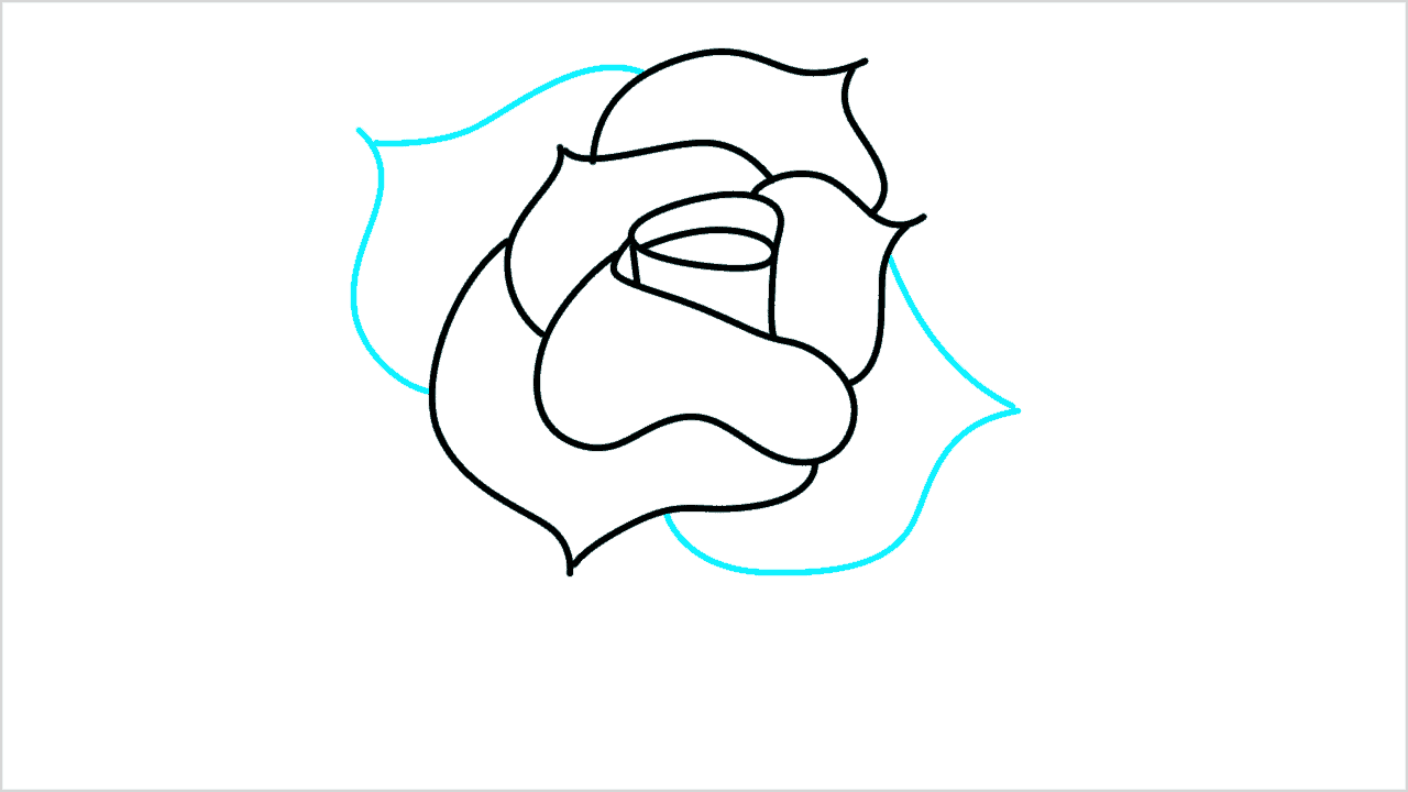 Cómo dibujar una rosa paso a paso (5)
