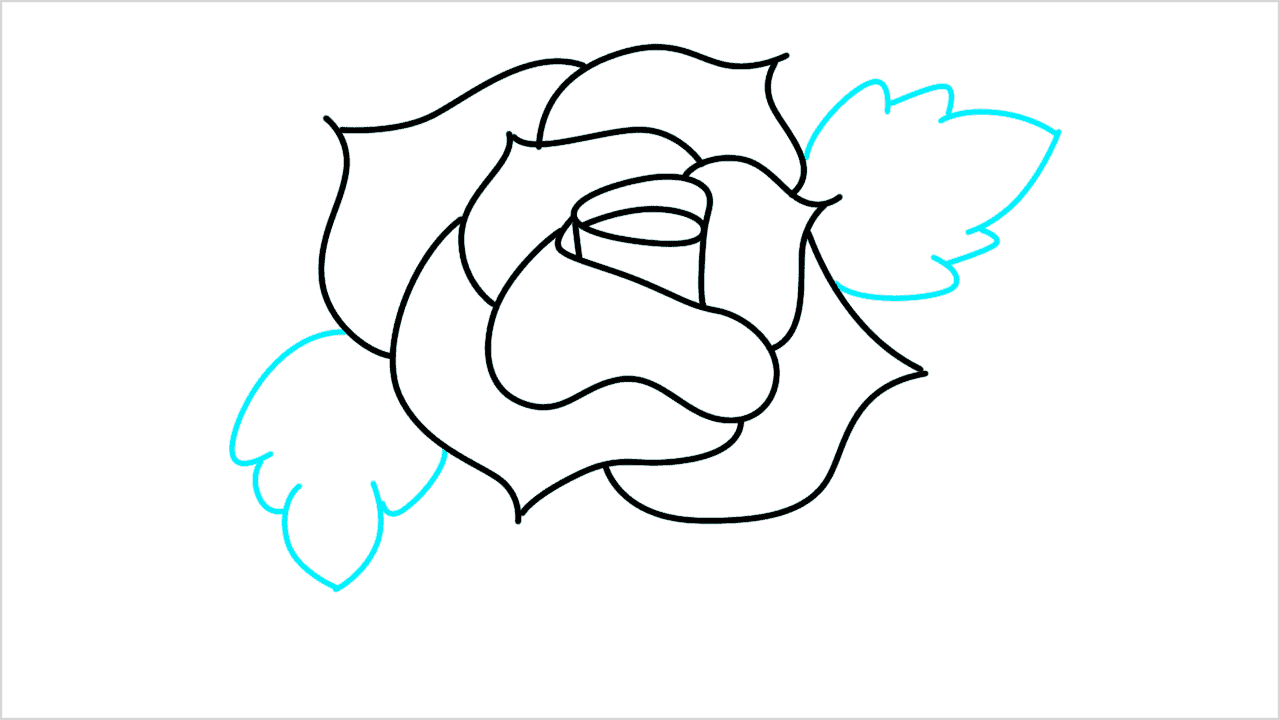 Cómo dibujar una rosa paso a paso (6)