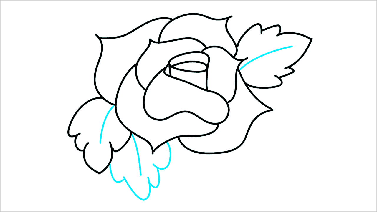 Cómo dibujar una rosa paso a paso (7)