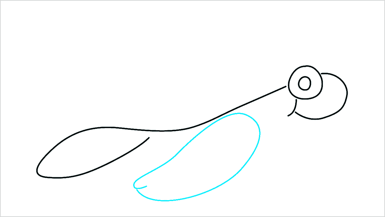 Cómo dibujar una tortuga bebé paso a paso (4)