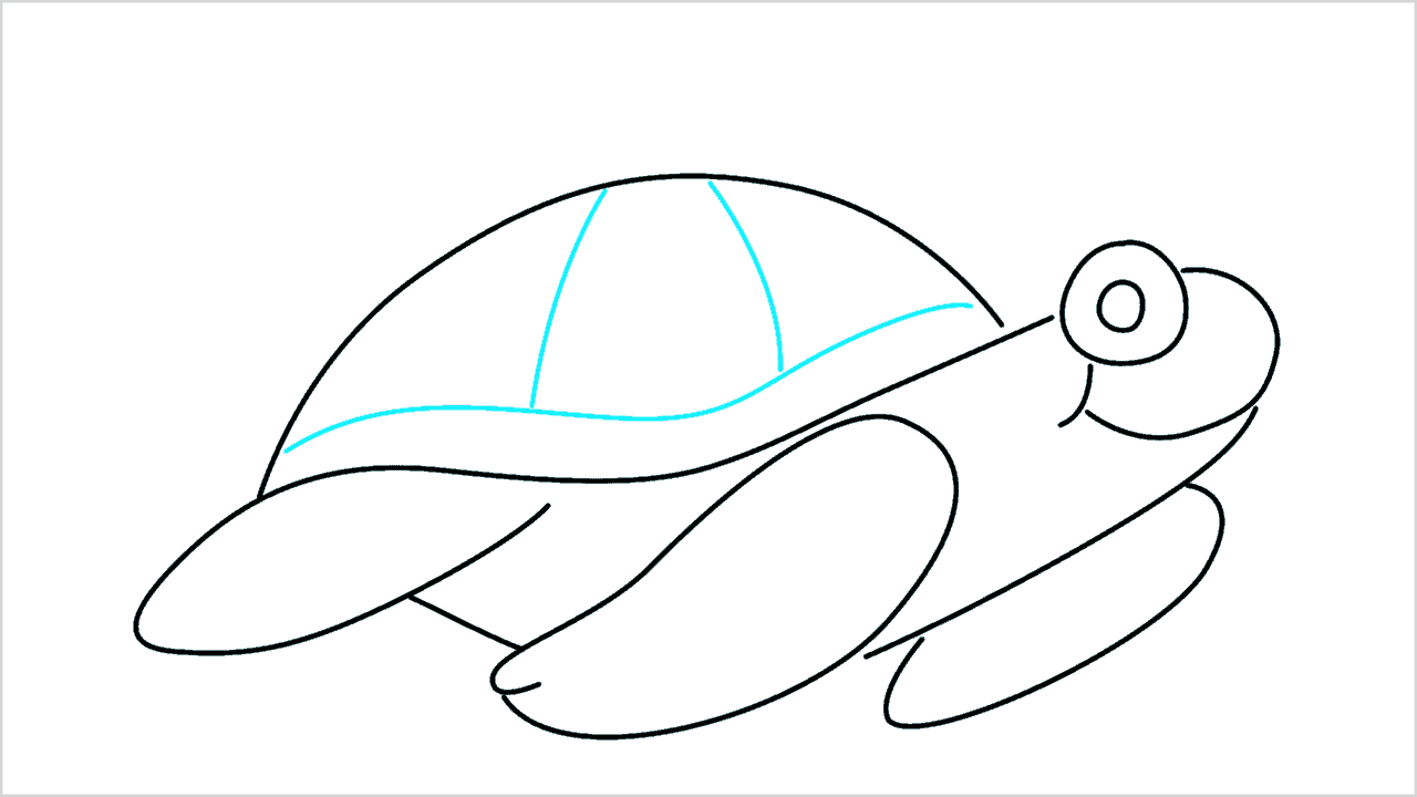 Cómo dibujar una tortuga bebé paso a paso (7)