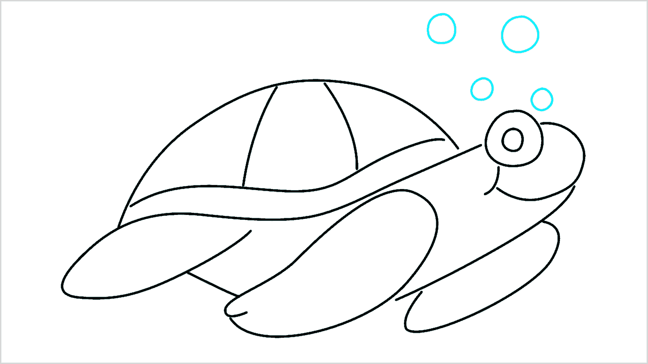 Cómo dibujar una tortuga bebé paso a paso (8)