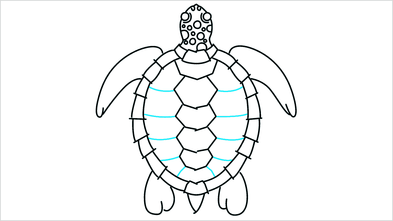 Cómo dibujar una tortuga paso a paso (10)