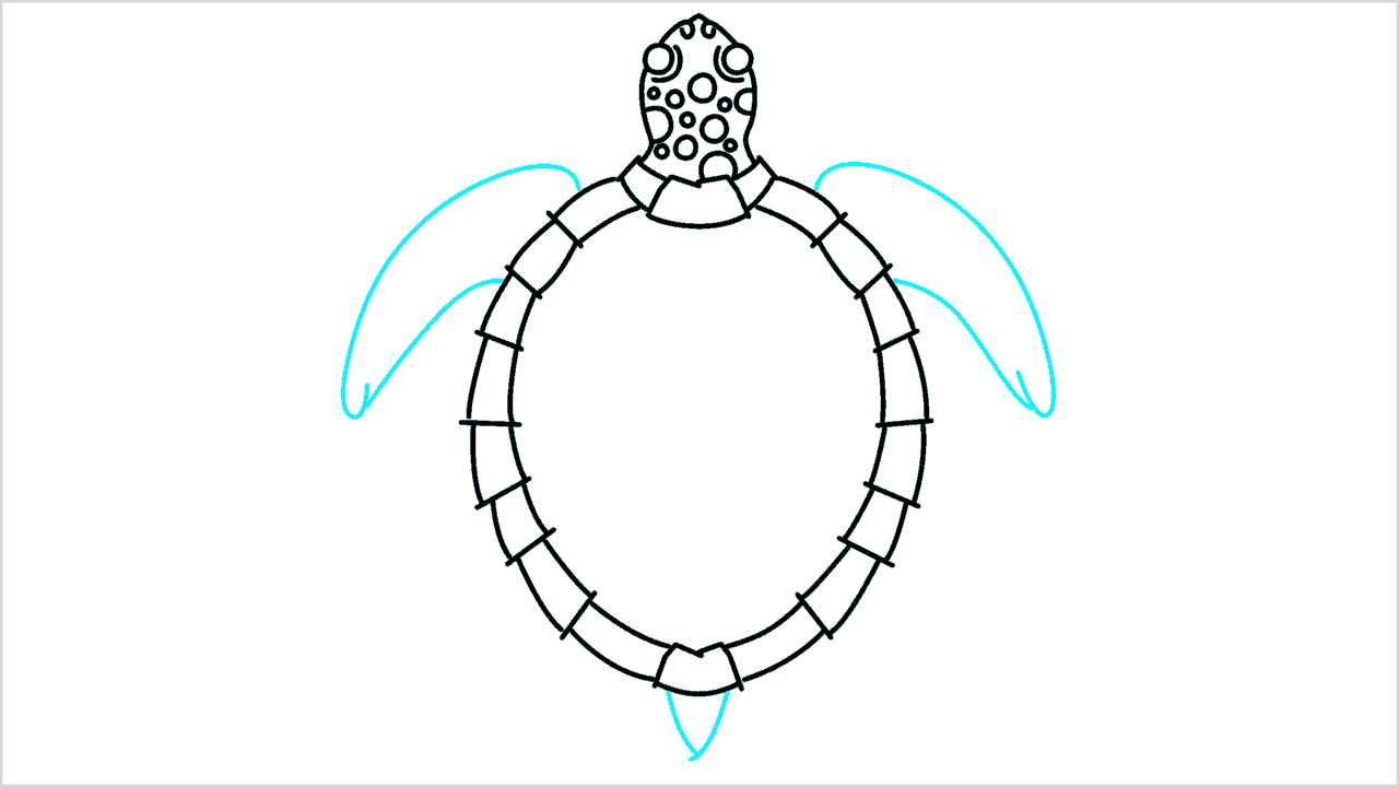 Cómo dibujar una tortuga paso a paso (7)