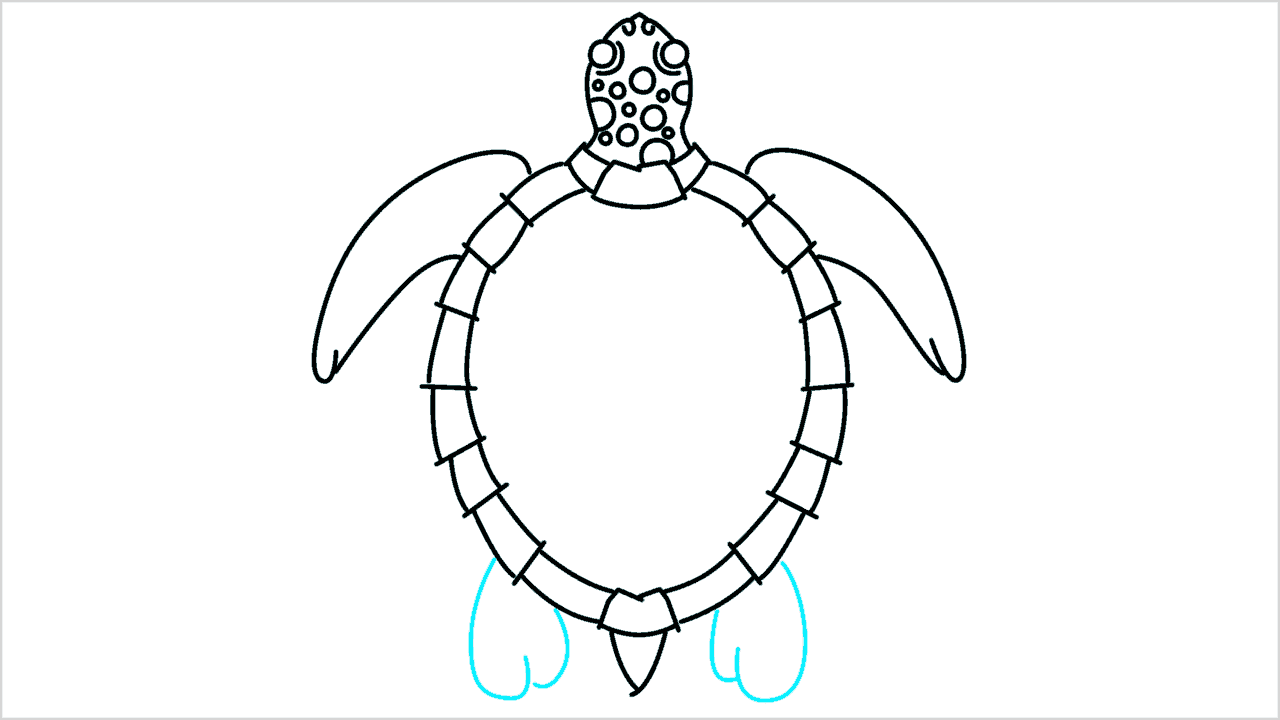 Cómo dibujar una tortuga paso a paso (8)