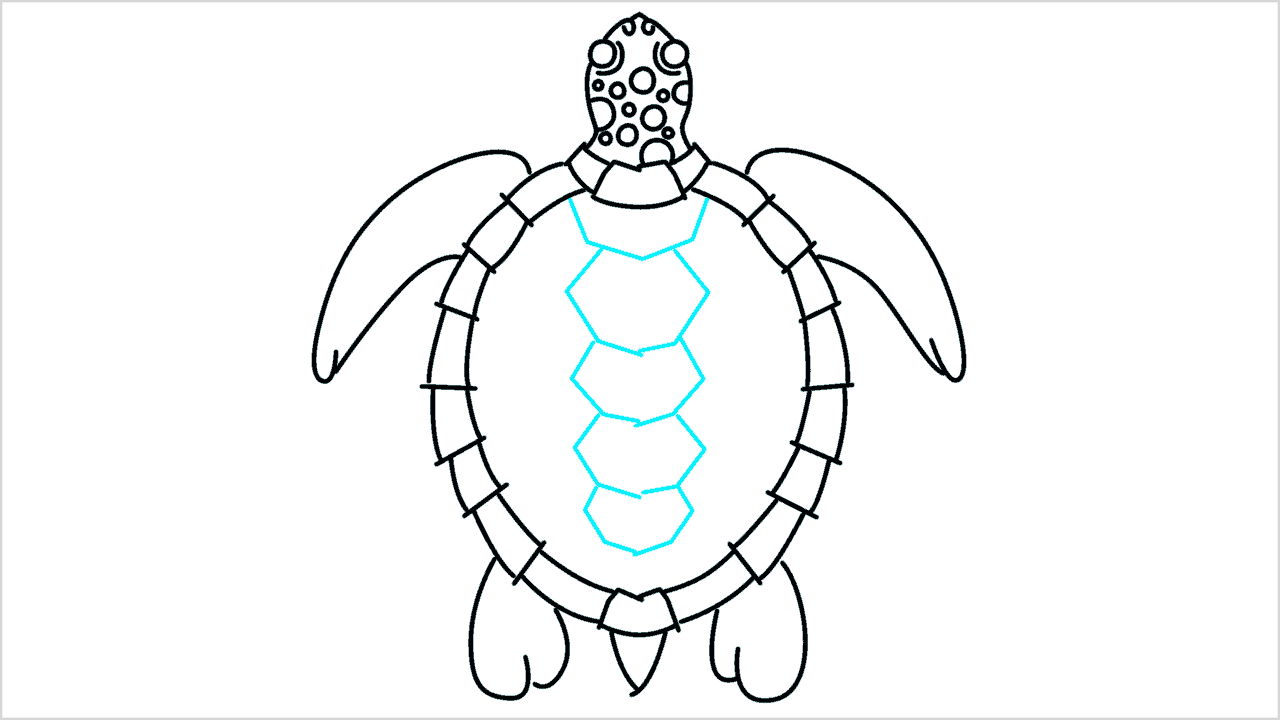Cómo dibujar una tortuga paso a paso (9)