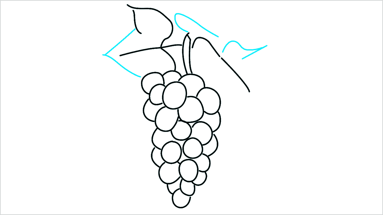 Cómo dibujar uvas paso a paso (10)