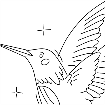Dibuja un colibrí